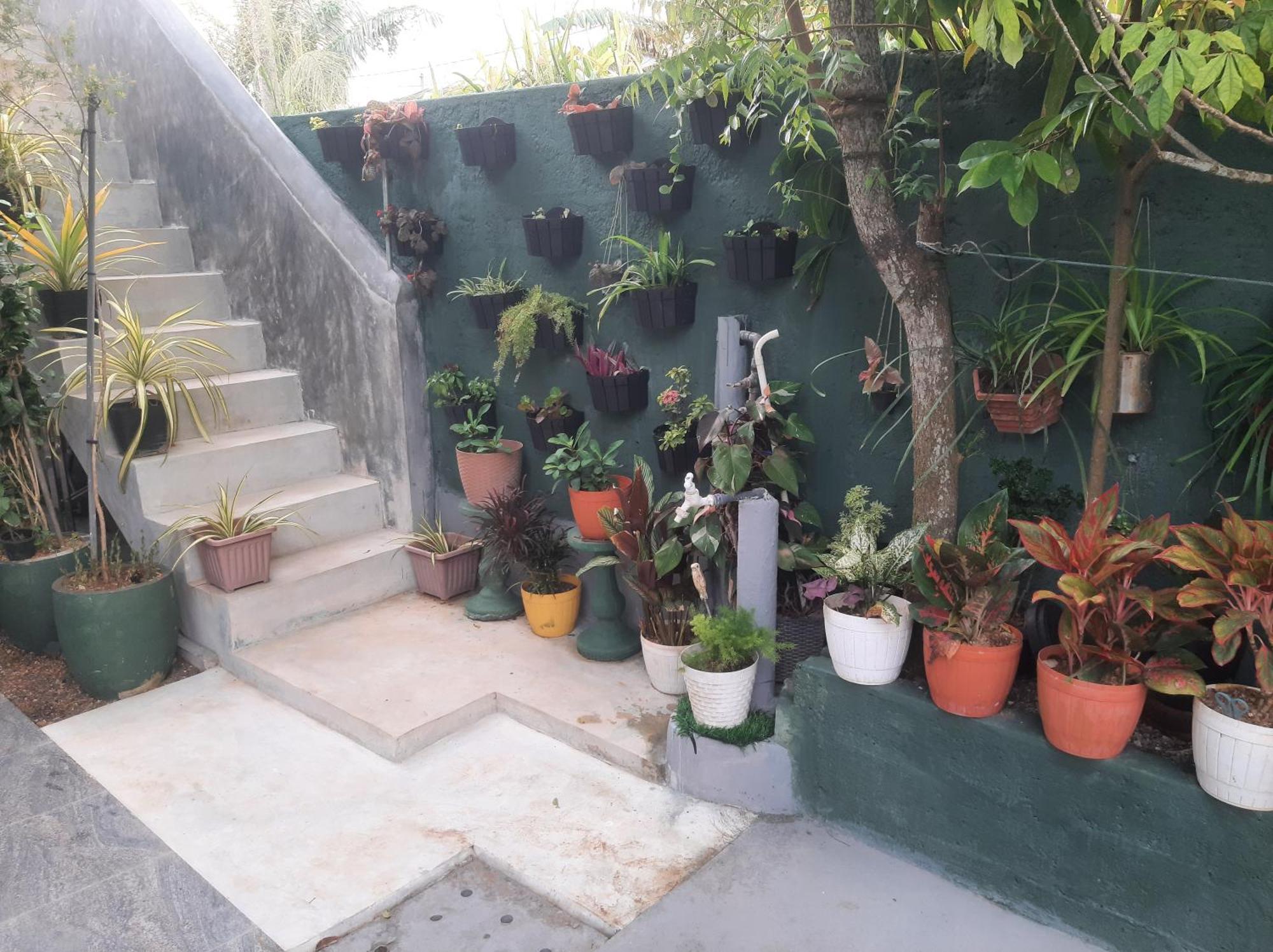 Weerakoon Garden Guest Ξενοδοχείο Hikkaduwa Εξωτερικό φωτογραφία